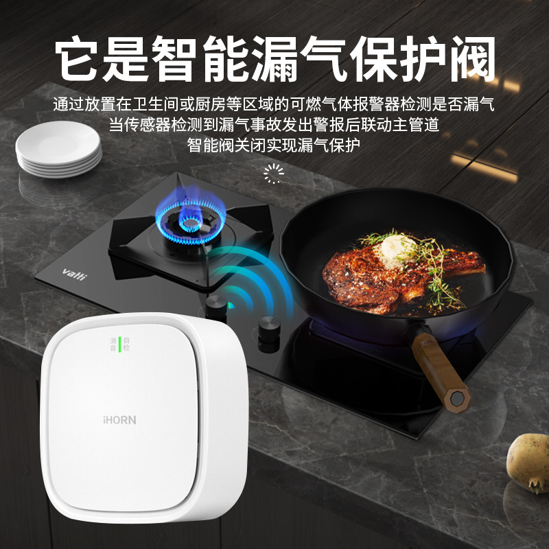 Wifi Hongmeng Smart Electric Valve Water Leak Guard Gas Shut-Off Valve Automatic Shut-Off Valve Smart Water Valve