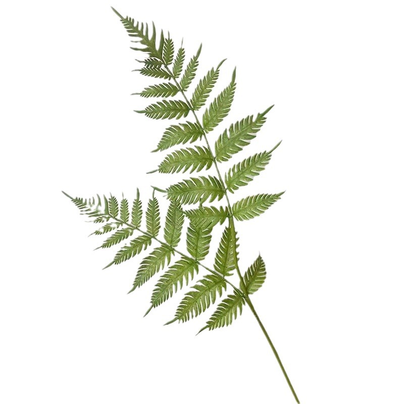 Simulation Pteridophyte 2 Forks Small Fern Leaf Monolithic Persian Green Plant Decorative Plant Wall Engineering Soft-fitting Fern Mori