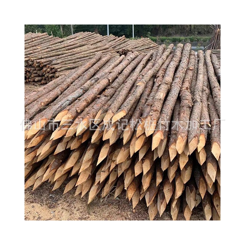 Pine pile flood control timber pile construction site river piling timber river bank flood control and flood control civil works greening support timber