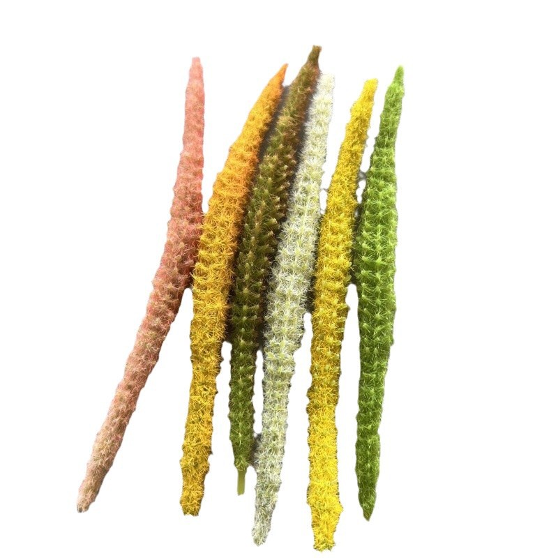 Imitation Setaria Short Hair Grass Flower Head Artificial Cat's Tail Fake Flower Accessories Christmas Decoration Colorful Tops