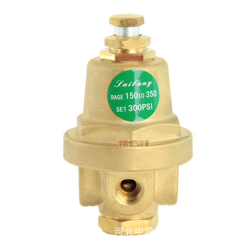 Liquid Oxygen Dewar Accessories Booster Safety Valve Bursting Film Repair Kit Pressure Gauge Level Gauge Copper Pipe Accessories