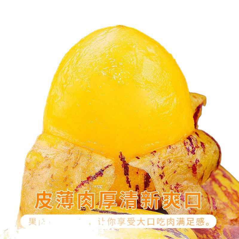 Fresh Fruits from Minqin Desert Ginseng Fruit in Gansu, 5kg Specialty Colorful Large Fruits, Ripe on the Tree, Whole Box with Free Shipping