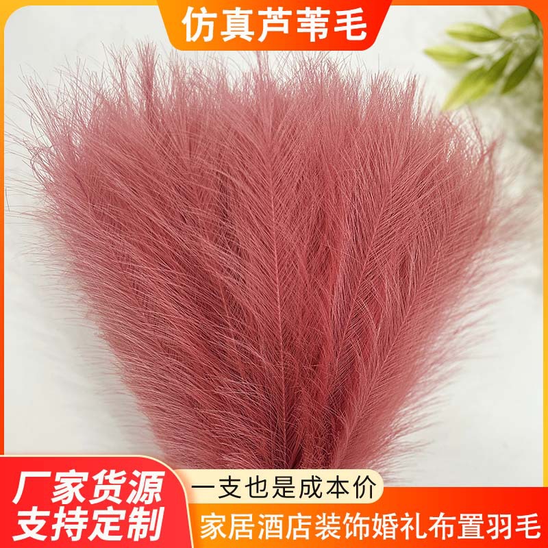 43cm Artificial Reed Feathers for Home Decoration, Single-Prong Feathers, Artificial Pampas Reed Feathers, in Stock, Factory Direct Supply for Cross-Border Trade