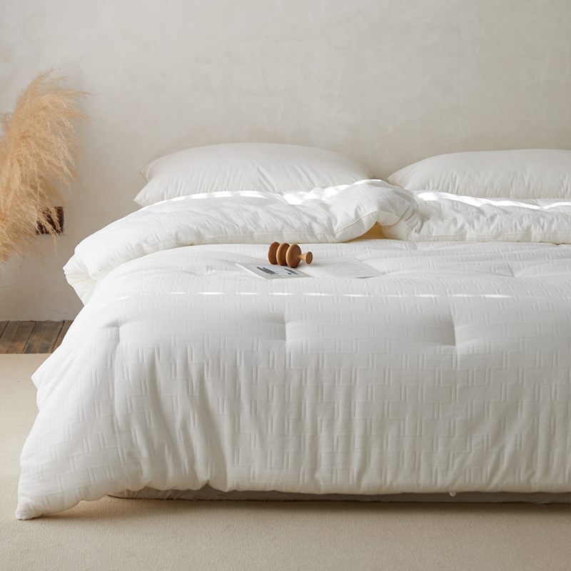 Exported to Japan Class a Pure Cotton Quilt Core Winter Quilt Spring & Fall Quilt Air-Conditioned Quilt Thickeneded Warm Winter Quilt