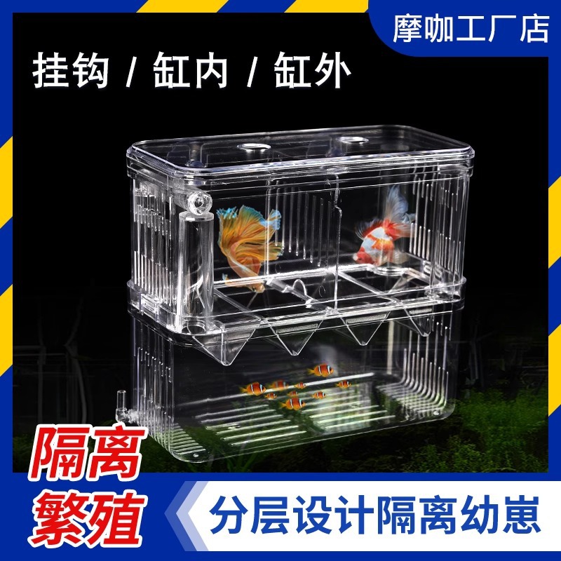 Fish tank incubation box guppy bucket fish isolation box small fish tank fry small fish ovipositor aquarium flushing oxygen breeding box