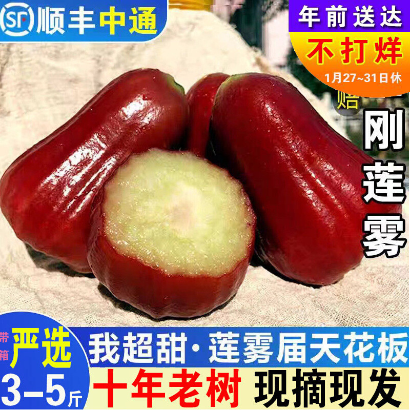 [Опционально Sf] Хайнань специальность Черная жемчужина Черный алмаз Лотосовый туман фрукты свежие с коробкой 1.5-2.5кг бесплатная доставка