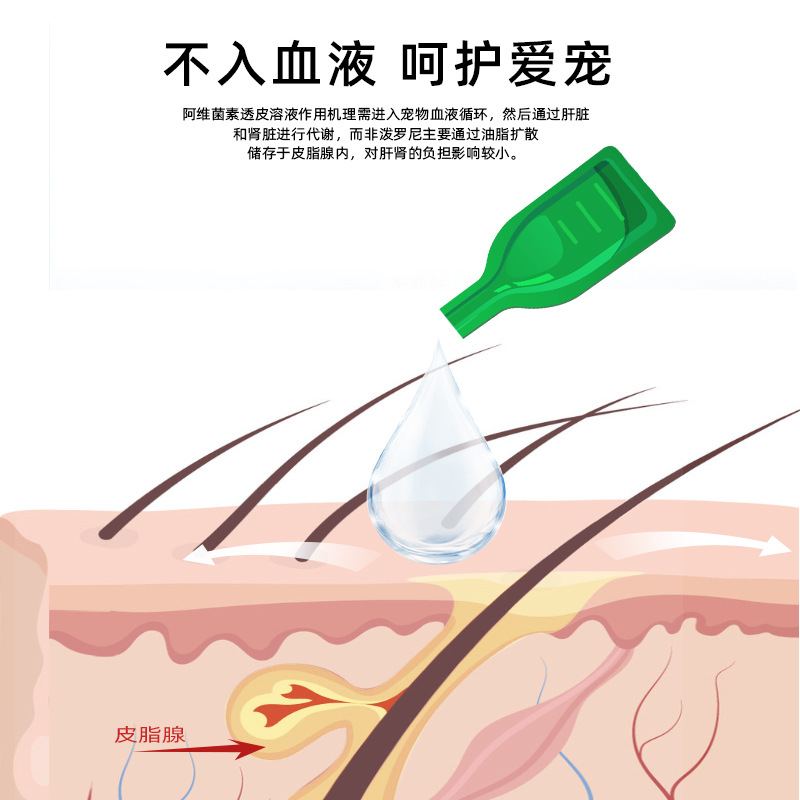 New Favorite Kangfeipronil Drops Cat External Anthelmintic Drug to Remove Fleas, Lice, Ticks, Mites, Pet Medicine