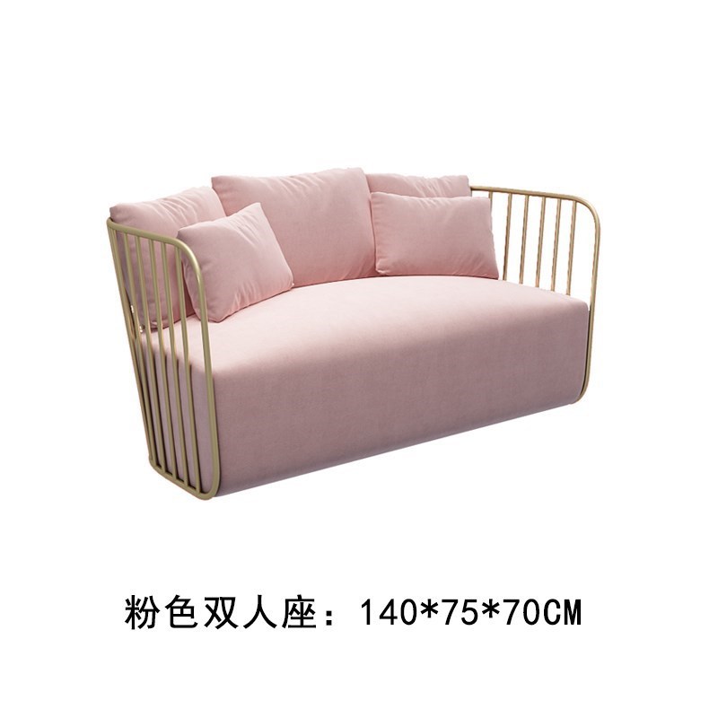 Foshan Nordic Clothing Store Small Sofa Internet Celebrity Style Beauty Salon Wrought Iron Sofa Chair Double Studio Simple Modern