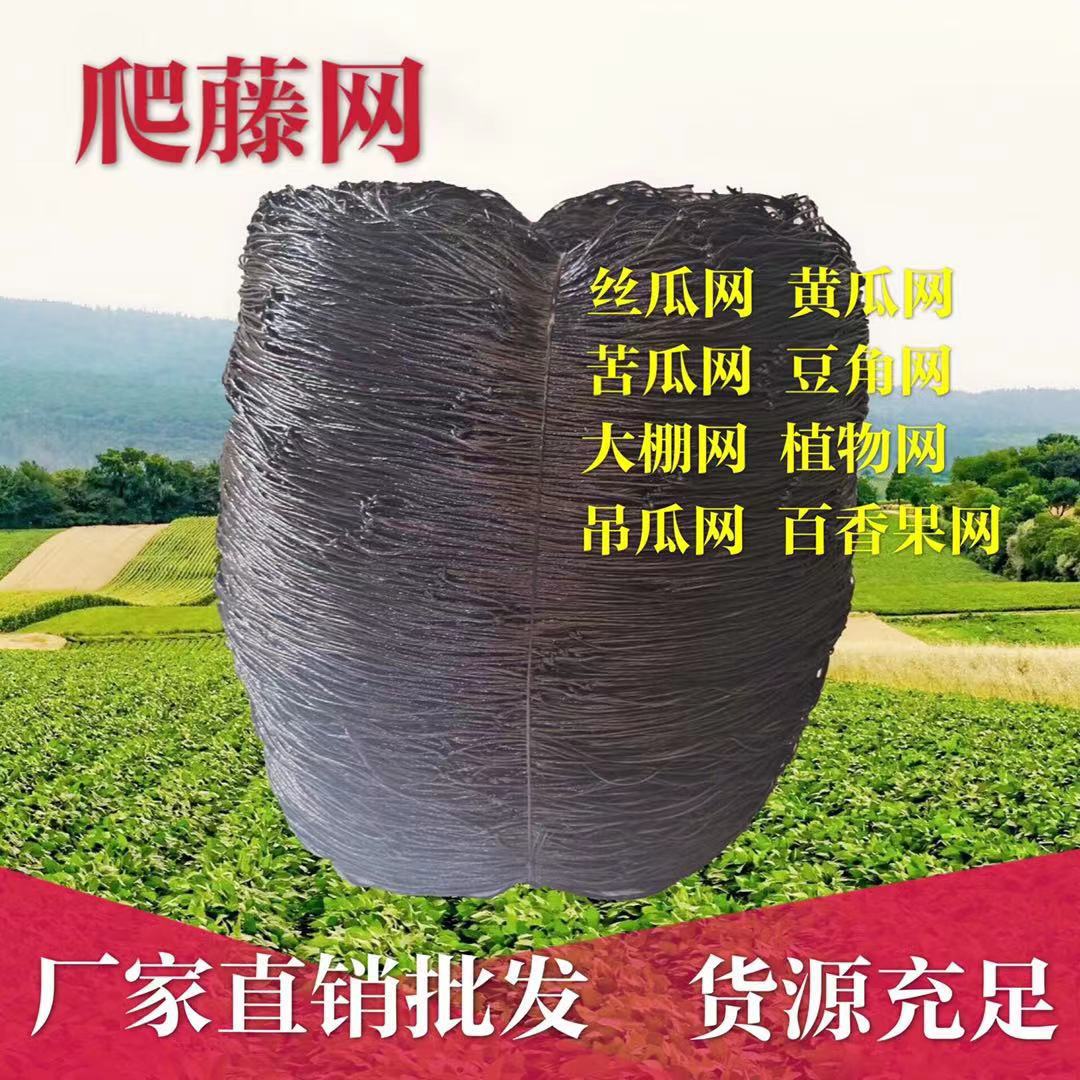 Plant vine climbing net green gardening Grid Net cucumber hanging melon climbing net support net chrysanthemum wind resistance lodging resistance net