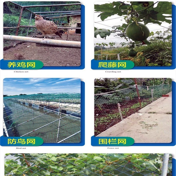 Chicken net nylon net Orchard bird-proof net poultry breeding net vine climbing net chicken top Net chicken vegetable garden court Net