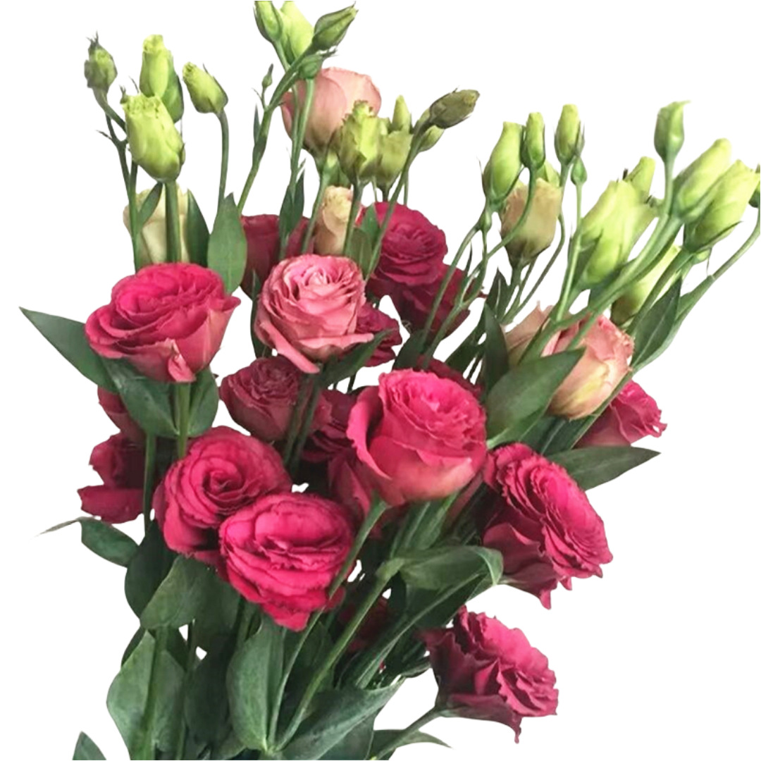 Eustoma Flowers Wholesale Yunnan Flower Base Direct Batch Wedding Decoration Flower Shop Stall Community Group Purchase Direct Supply