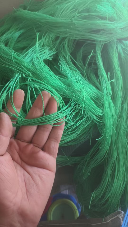 Chrysanthemum Plant Climbing Net, Passion Fruit, Beans, Cucumbers, Roses, Hanging Melons, Loofahs, Bitter Melons, Grape Nets, Outdoor Climbing Nets