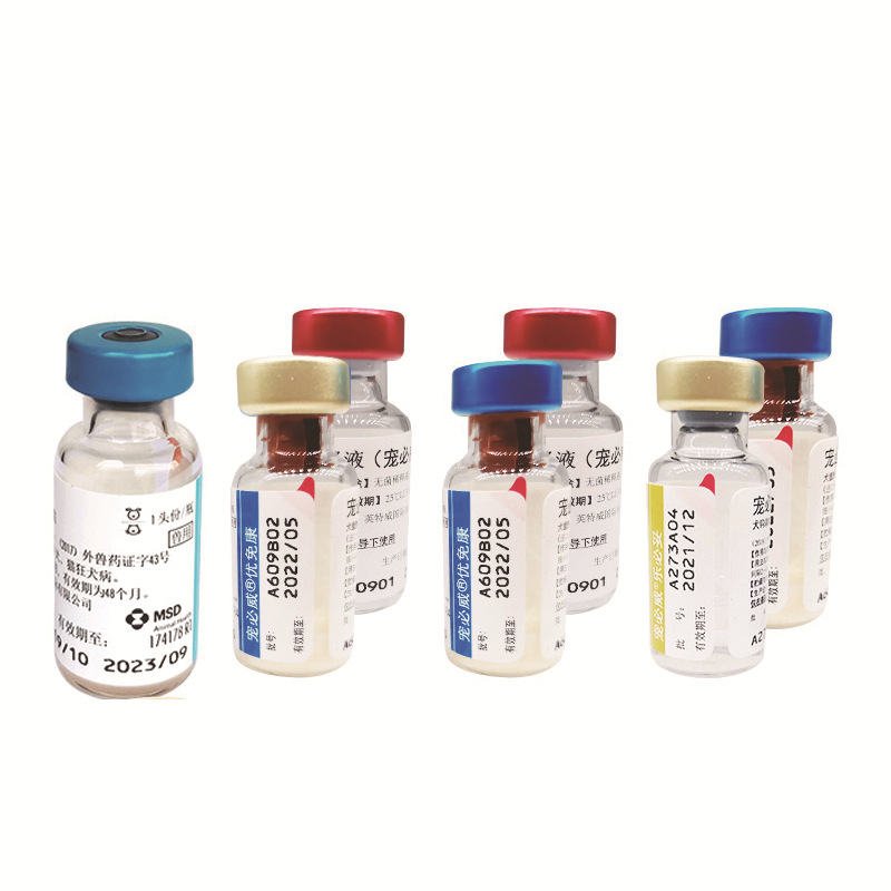 Netherlands Intway 246 Live Vaccine Pet Intway Imported Pet Canine Distemper Small Mercadon