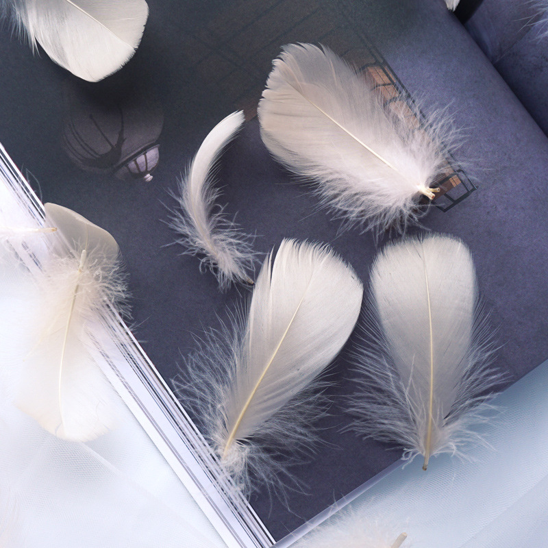 Manufacturer Wholesale Macaron Colorfulful Small Feather 5-8cm Goose Feather Small Floating Wave Ball Balloon Filling Decorative Material