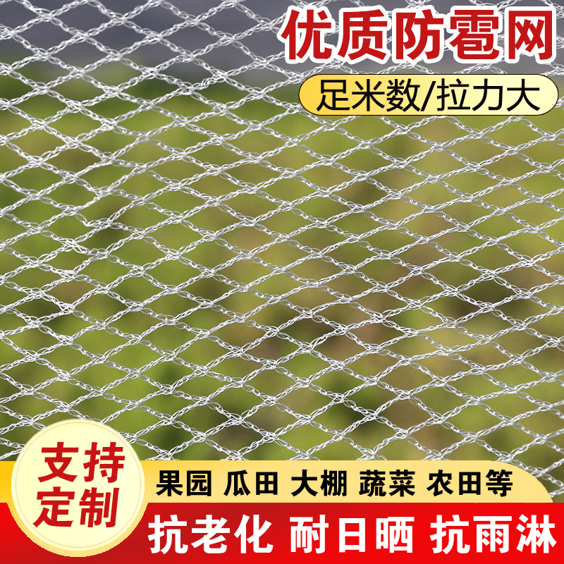 Anti-Hail Net Manufacturer Hdpe Anti-Hail Net for Gardens and Orchards, Cross-Border Netting, Polyethylene Agricultural Anti-Hail Net for Orchard Protection