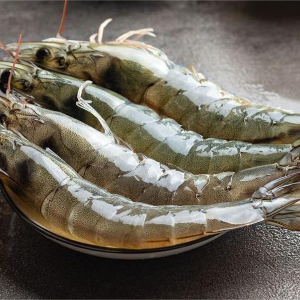 Large Shrimp Frozen Shrimp Quick-Frozen Large Shrimp Frozen Shrimp Salted Frozen Shrimp Sea Shrimp Raw Seafood Aquatic Products Wholesale 2000g Sf Express