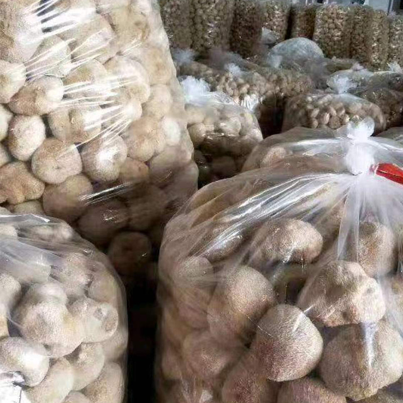 Оптовая продажа различных спецификаций сушеных грибов Hericium, 500г