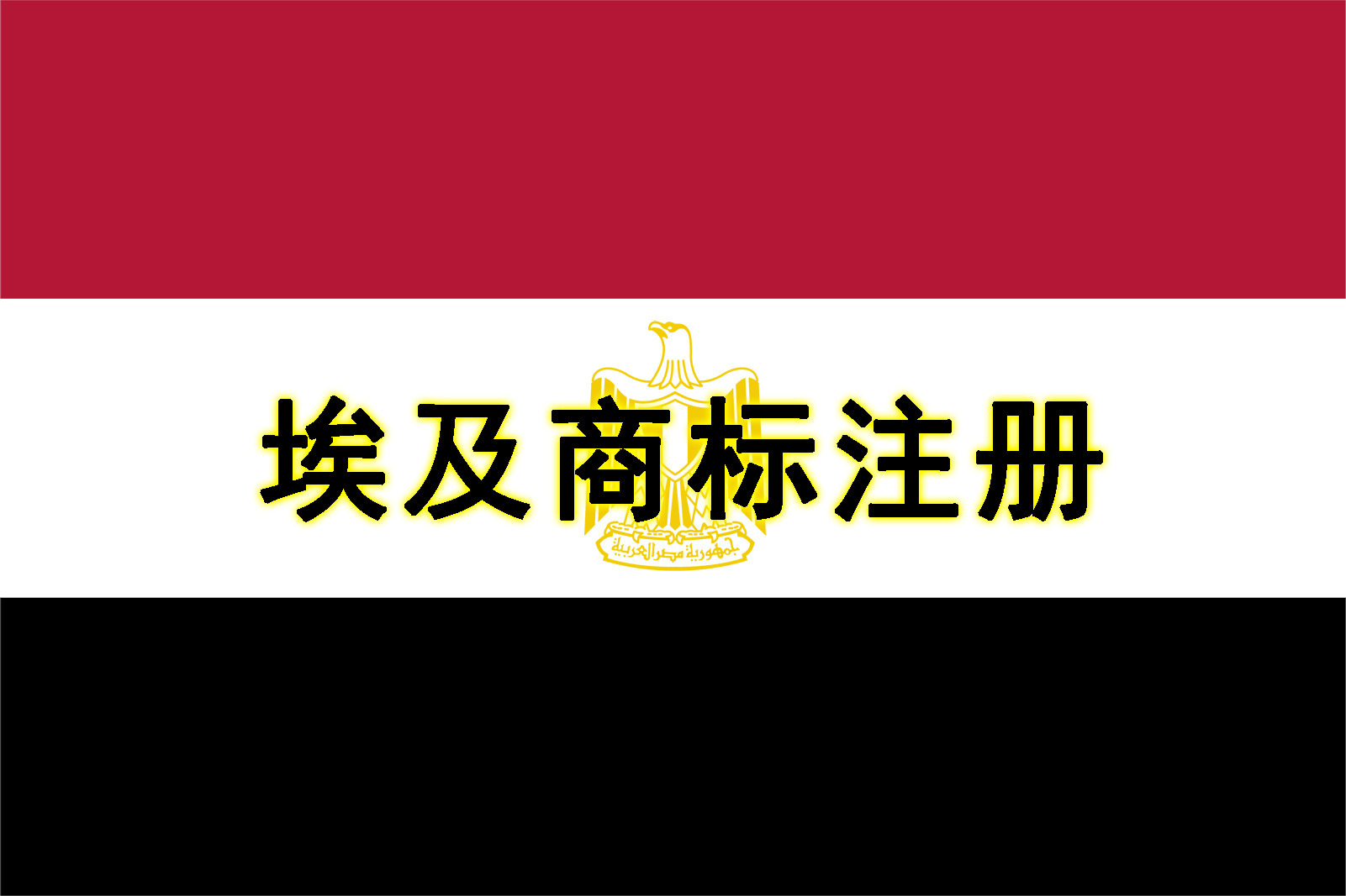 Clothing Trademark Transfer Notarization