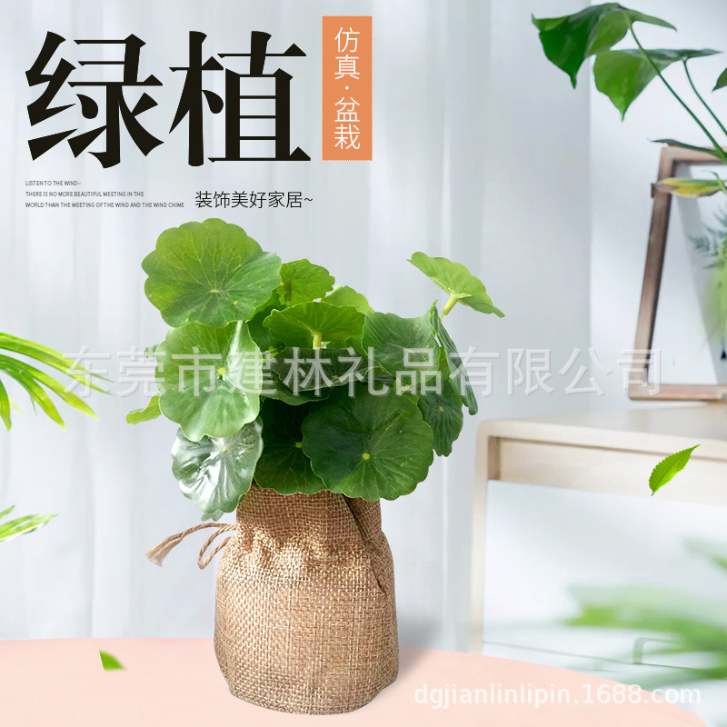 Индивидуальные пластиковые цветы из материала PE, мясистые симуляционные бонсай, мешок для цветов, декор, кросс-бордерные симуляционные цветы