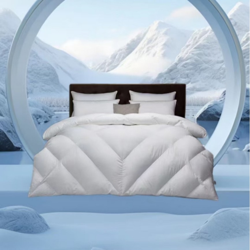 Langsha Van Ke Hotel Quilt Feather Velvet Quilt Double Spring Autumn Winter Thickened Quilt Core Gift Wholesale Company Group Purchase