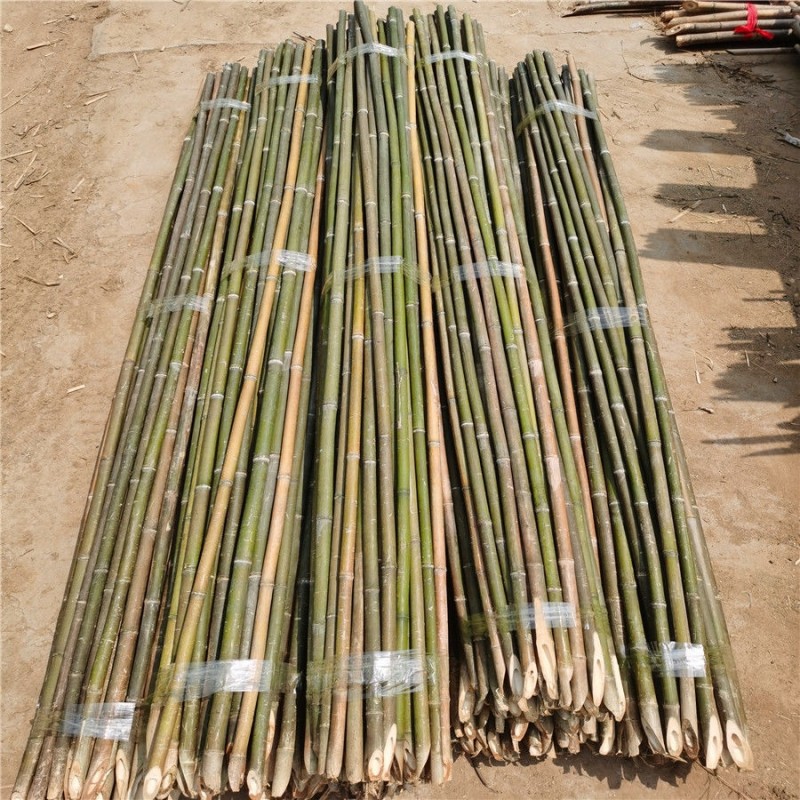 Spot large bamboo vegetable garden rack fine bamboo pole flagpole garden decoration decoration thick bamboo pole wholesale bamboo fence