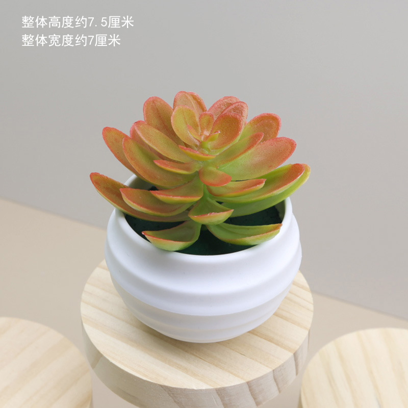 Cross-border wholesale mini lotus plastic artificial potted desktop ornaments simulation plant fleshy fake flower green bonsai