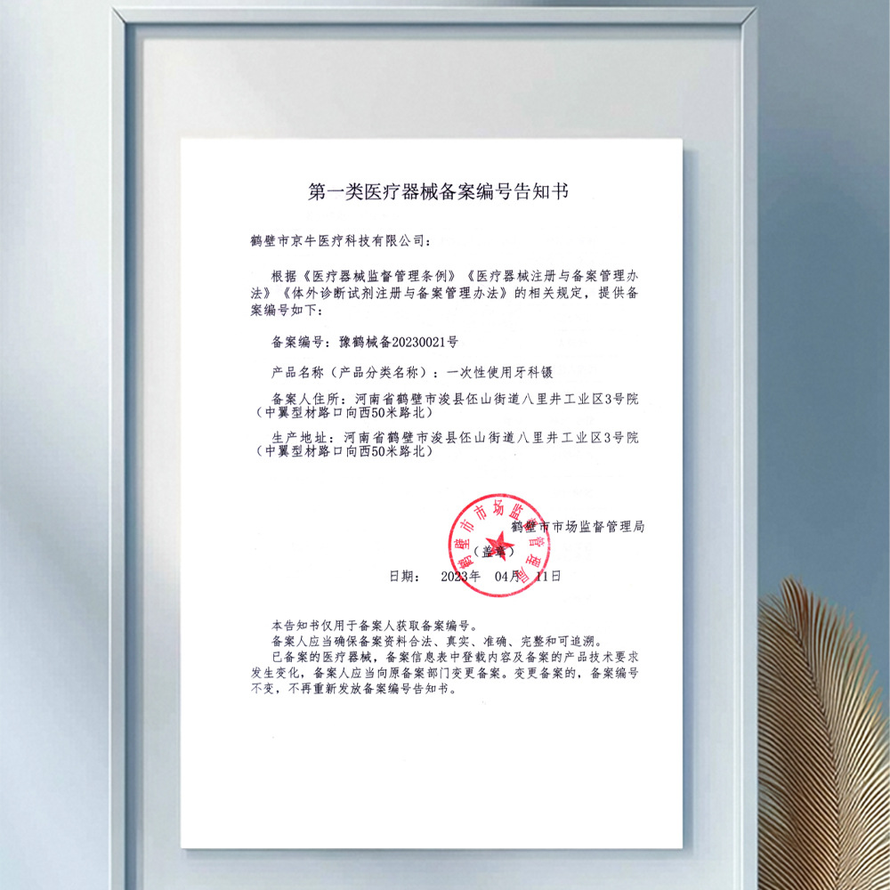 Medical Dental Dental Disposable Dental Stainless Steel Tweezers Oral Examination Tools Genuine Independent Packaging Wholesale