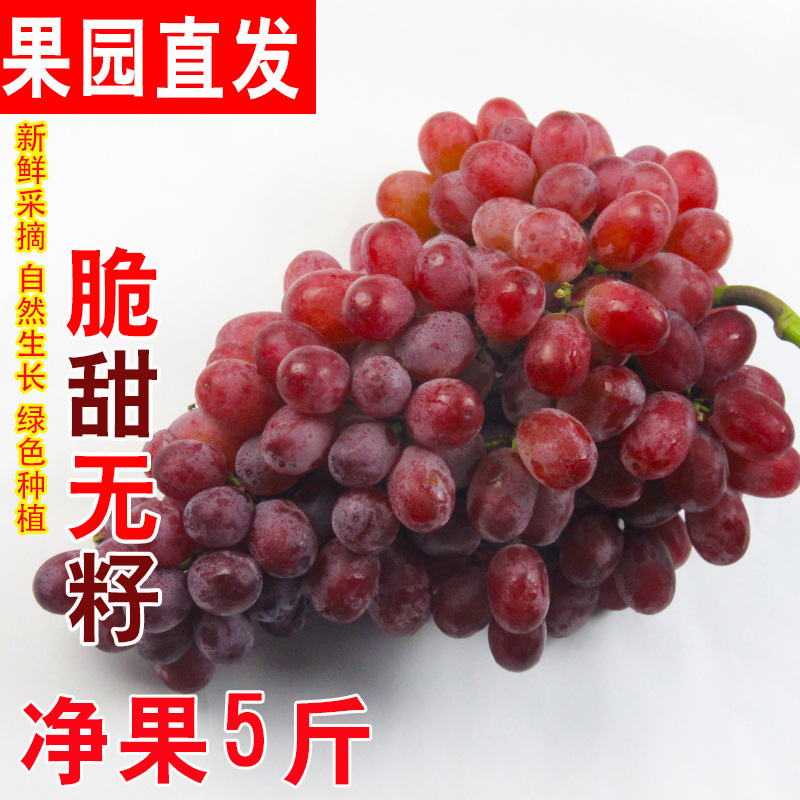 Sf Express Free Shipping Little Bee Klonsheng Grapes Fresh Xinjiang Seedless Crispy Sweet Seedless Ruby Fruit for Pregnant Women