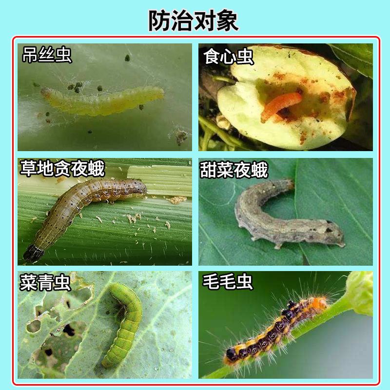 High Content 11.6% Emamectin, Chlorfenacetamid, Emamectin, Corn Borer, Rice Pesticide Insecticide