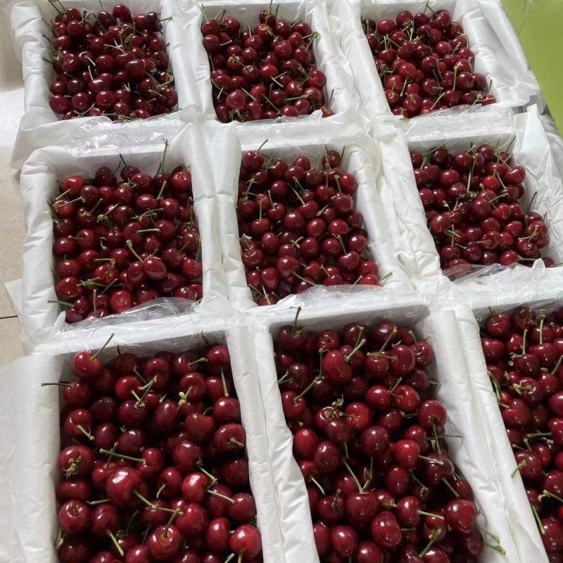 Source Factory Disposable Absorbent Paper Fruit and Vegetable Packaging Thickeneded Wrapping Paper Food Express Logistics Transportation Paper