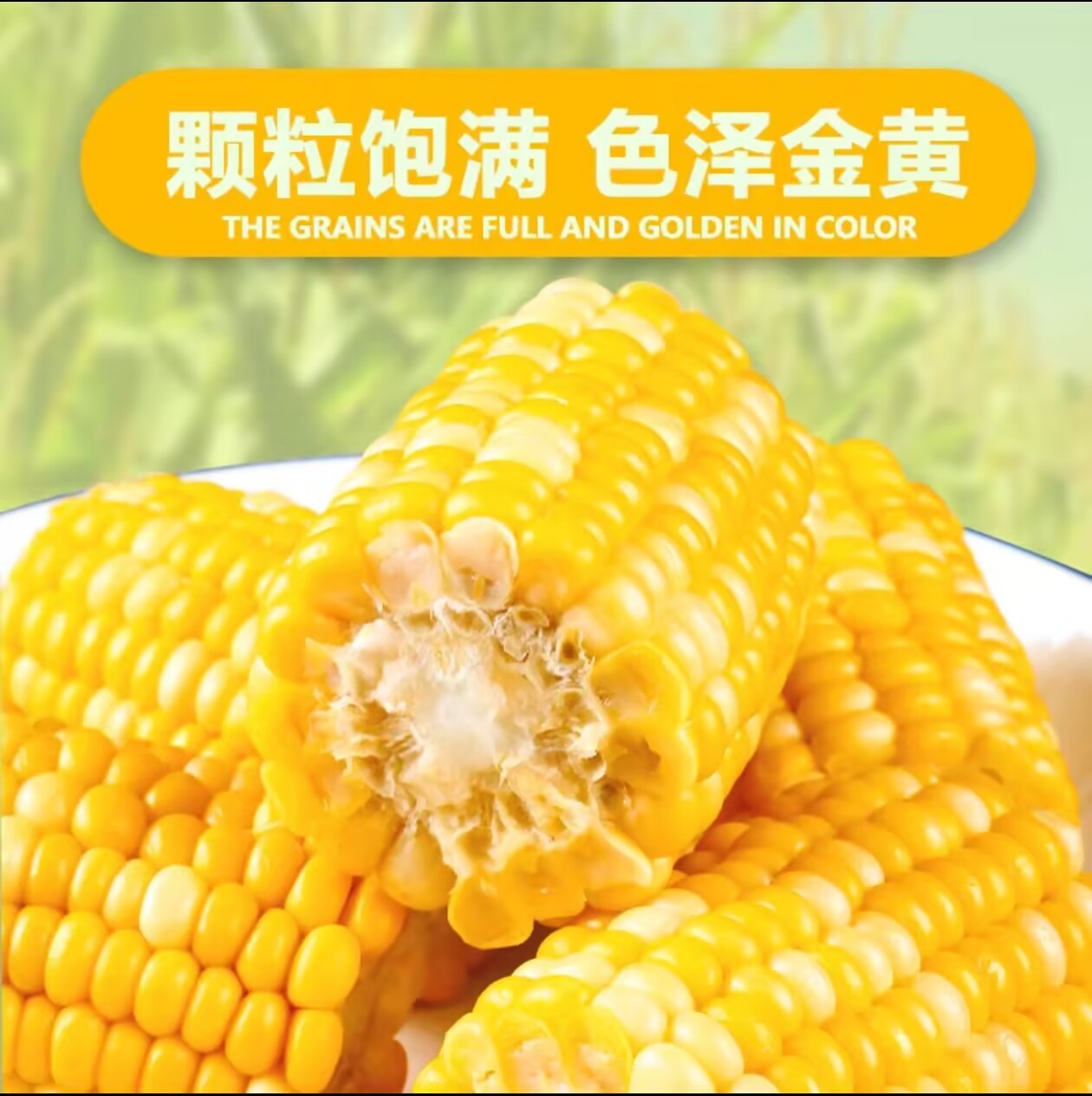 Ready-To-Eat Golden Fruit Sweet Corn, Fresh Crispy Sweet Juicy Corn Pieces, No-Cook Instant Kidsren's Meal Replacement Corn