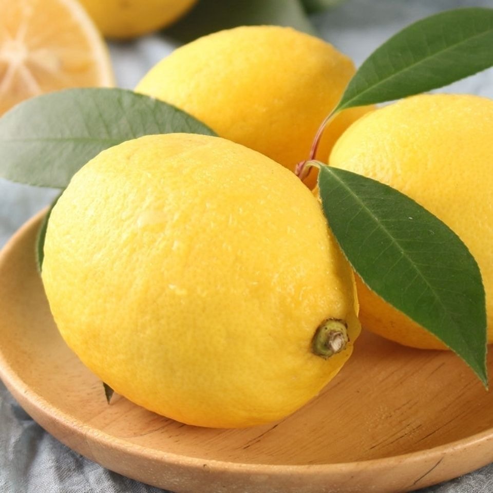 Sichuan Anyue Yellow Lemon Fresh Lemon Wholesale Milk Tea Shop Lemon Fresh Seasonal Fruit Whole Box Wholesale