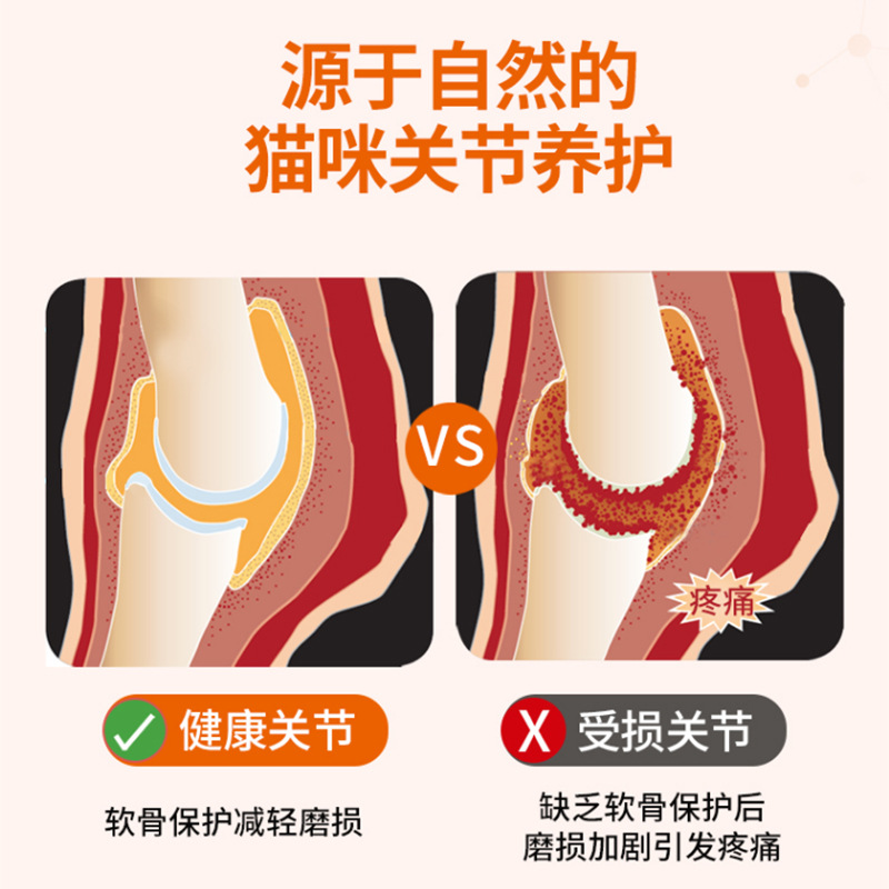 Sasha Pet Chondroitin Sashas Joint Spirit Dog Shark Chondroitin Joint Treasure Capsules Folded Ear Cat