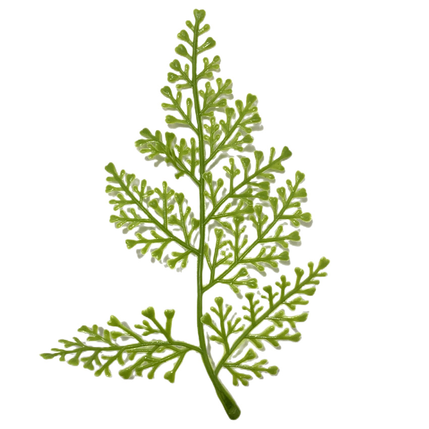 Factory Supply of Various Simulated Aquatic Plants, Simulated Green Plant Garland Materials, Simulated Plastic Aquatic Plants