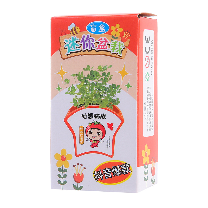 Green Plant Small Potted Plant Children's Homework diy Mini Planting Science Experiment Small Flower Farmers Flower Seed Gift Blind Box