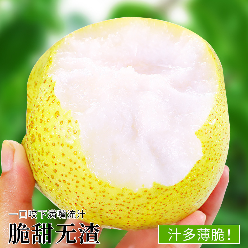 Hot-Selling Anhui Dangshan Crispy Pears 5kg Pears Fresh Fruit Seasonal Whole Box Free Shipping Specialty Fragrant Crispy Pears