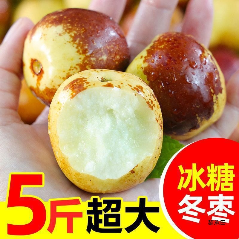 Shandong Zhanhua Winter Jujube Seasonal Fresh Fruit Large Crisp Sweet Super Green Red Wholesale Non-Dali Jin