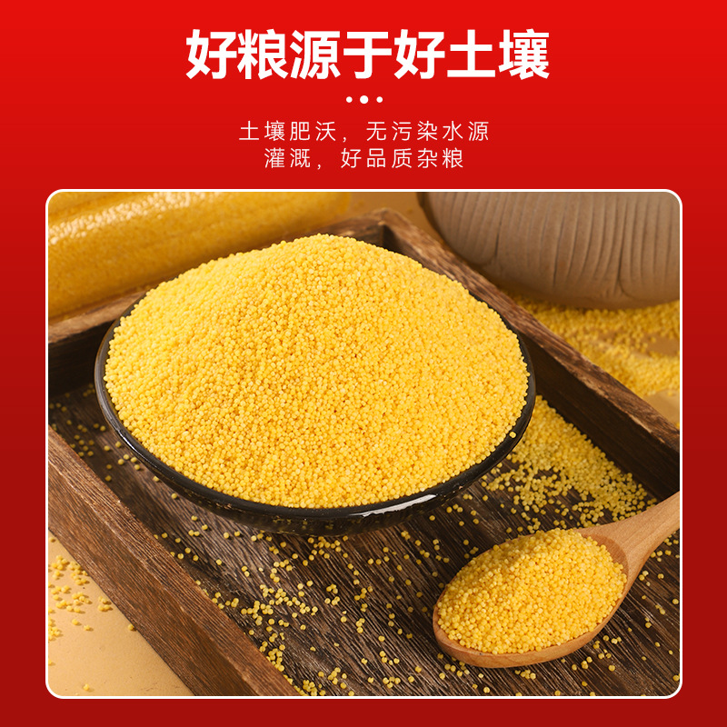 Yellow Millet Seasonal New Beige Millet Porridge 500g Whole Grains New Northeast Yellow Millet Breakfast Millet