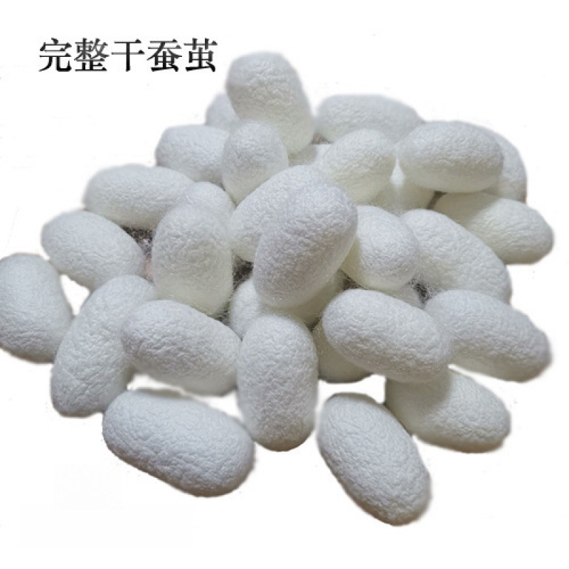 Полный натуральный кокон шелкопряда для искусства, белый кокон, цветной кокон, высушенный кокон, живой кокон с куколкой, чистый и высокого качества