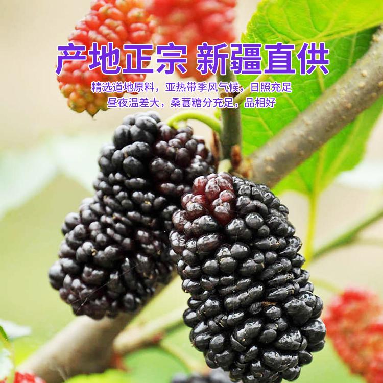 Selected Large Particles of Xinjiang Black Mulberry Dried First Crop Fresh Tea and Wine Sand-Free Freshly Picked High-Quality Dried Mulberries