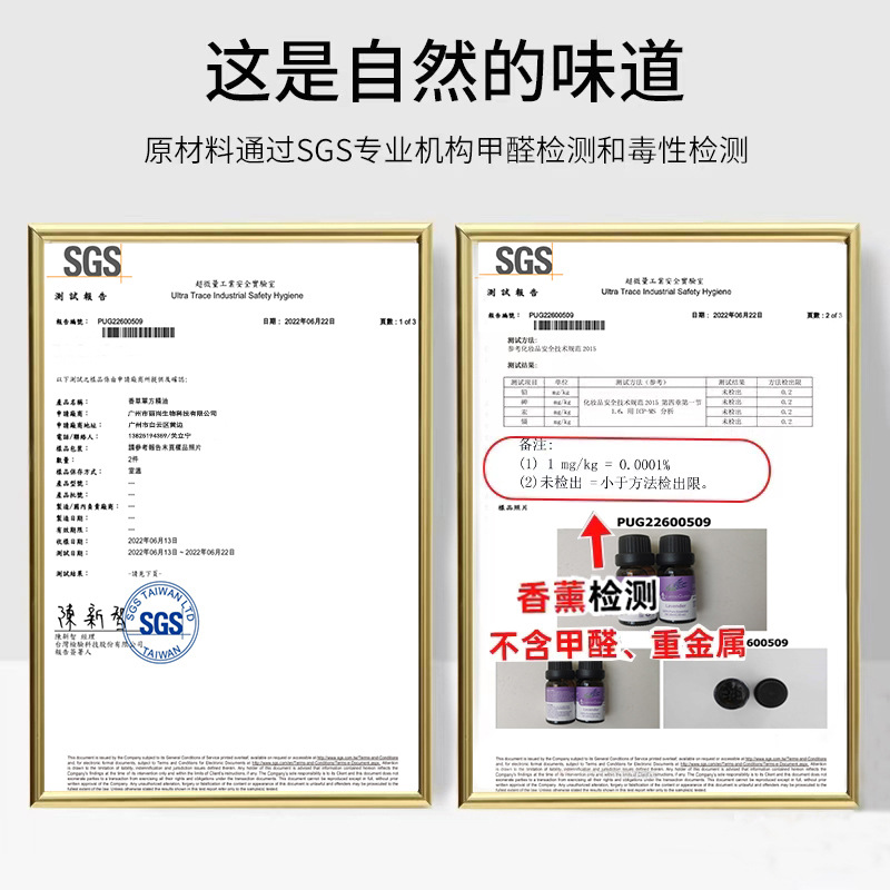 Cross-Border Spot Wholesale Lavender Rose Plant Single Pure Essential Oil Plant Massage Essential Oil Aromatherapy Fragrance