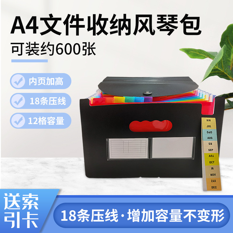 Папка для тестирования цветных данных Student Office 18-линевая 24-слойная с органайзером, печатным логотипом