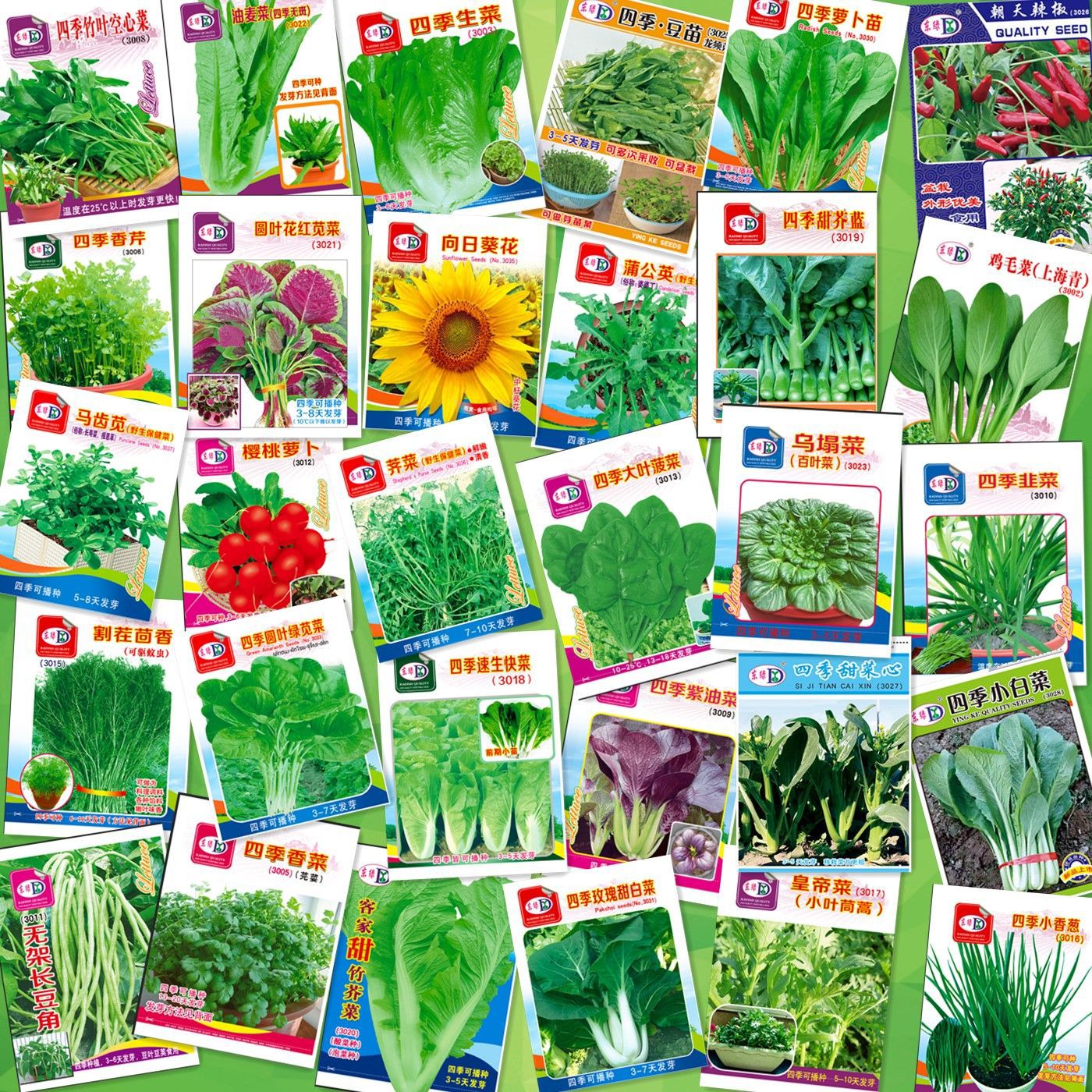 Снабжение дренажом для цветочного магазина [мини-упаковка 6.5×8.8 см], оптовая продажа 30 пакетов семян овощей на ваш выбор