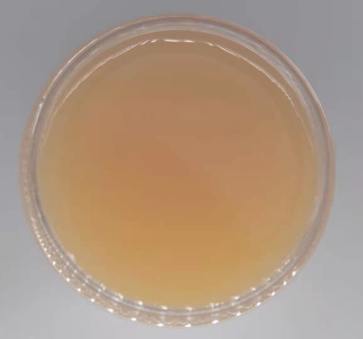 High temperature resistance, light resistance, abrasion resistance, scratch resistance, oxidation resistance, high hardness, high density oxidized polyethylene wax emulsion