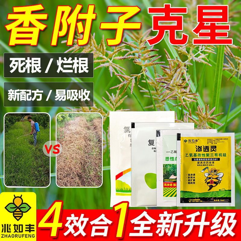Cyperus Rotundus Weeding Set Powerful Upgraded Version Four-In-One New Formula Chuyi-Shaped Cyperaceae Herbicide