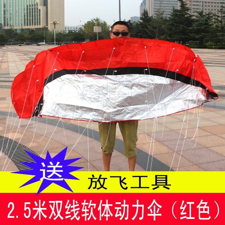 Double Line Soft Umbrella Kite Stunt Sports Kite 2.5 m Rainbow Umbrella Double Line Foreign Trade Power Umbrella Kite Other