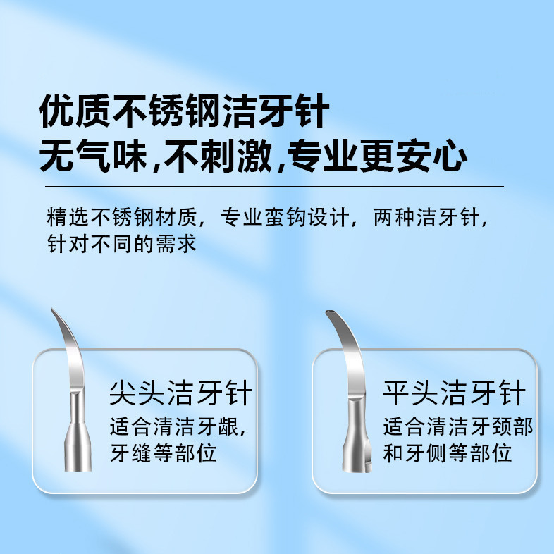 Factory Direct Sales Ultrasonic Tooth Cleaner Electric Toothbrush Dental Calculus Remover Tartar Remover Tooth Cleaner Tooth Flushing Artifact