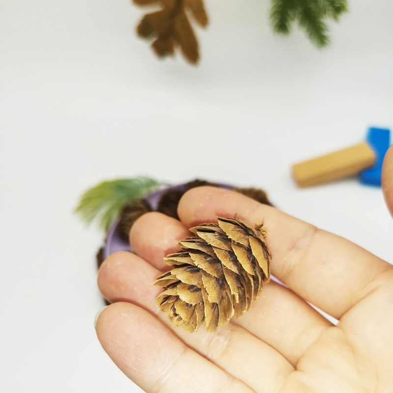 Larch pine dried flower pine tower painted white mini pine fruit dyed white pine flower DIY decorative accessories wholesale