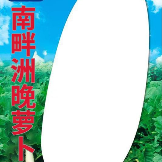 Wholesale Vegetable Garden Vegetable Seeds Nanpanzhou Late White Radish 12g Potted Balcony Yard Seeds Rapeseed