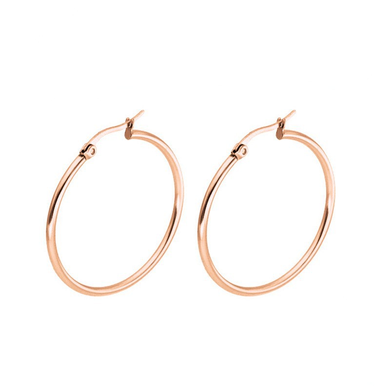 Classic Stainless Steel Hoop Earrings, Exaggerated High-End Titanium Steel European and American Earrings Buckle Jewelry
